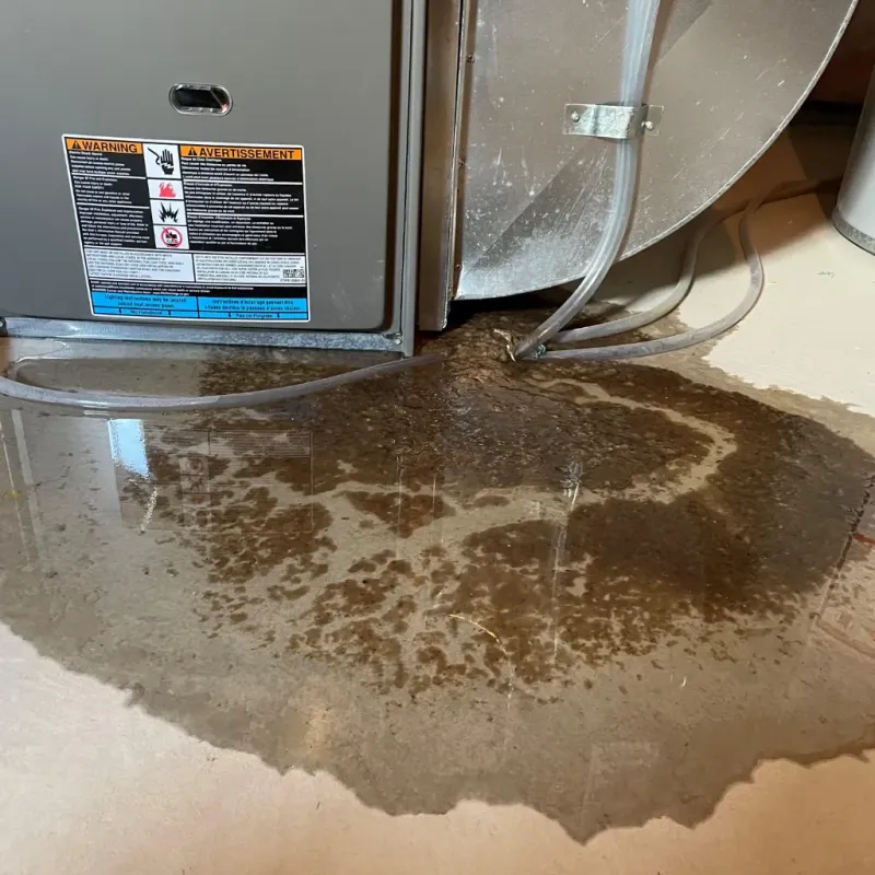 Appliance Leak Cleanup in Florala, AL